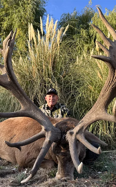 A man standing next to a large deer.